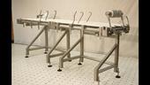 Sanitary Conveyors