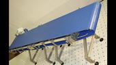 Sanitary Conveyors